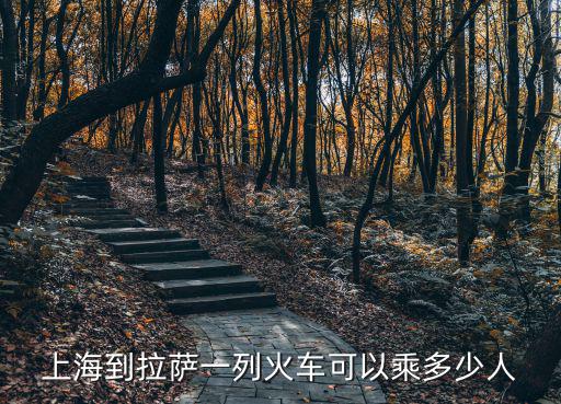 上海到拉薩一列火車可以乘多少人