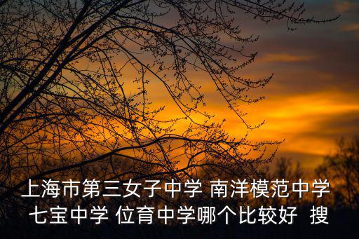 上海市第三女子中學 南洋模范中學 七寶中學 位育中學哪個比較好  搜