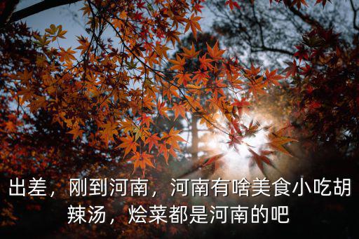 出差，剛到河南，河南有啥美食小吃胡辣湯，燴菜都是河南的吧