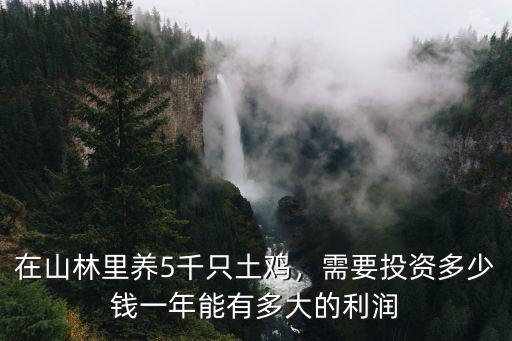 河南養雞一年能掙多少,一年能有多大的利潤