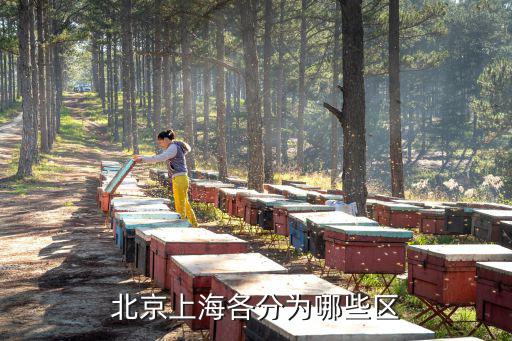 北京上海各分為哪些區