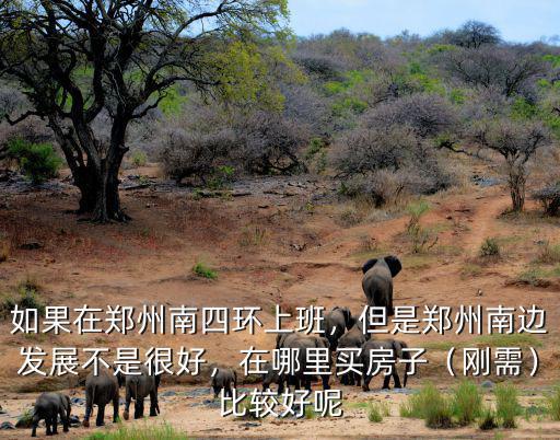 如果在鄭州南四環上班，但是鄭州南邊發展不是很好，在哪里買房子（剛需）比較好呢
