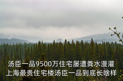上海最貴的房子，上海最貴的房?jī)r(jià)是多少
