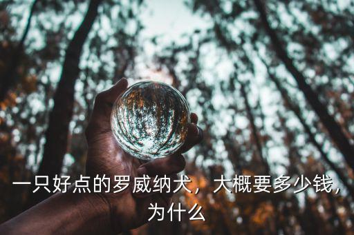 一只好點的羅威納犬，大概要多少錢，為什么