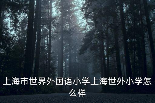 上海市世界外國語小學上海世外小學怎么樣