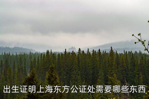 出生證明上海東方公證處需要哪些東西