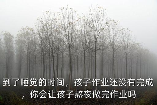 怎么登錄南陽文明網讓孩子完成作業,孩子作業還沒有完成