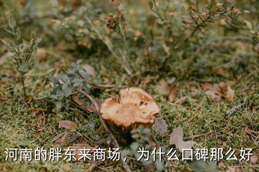河南的胖東來商場，為什么口碑那么好
