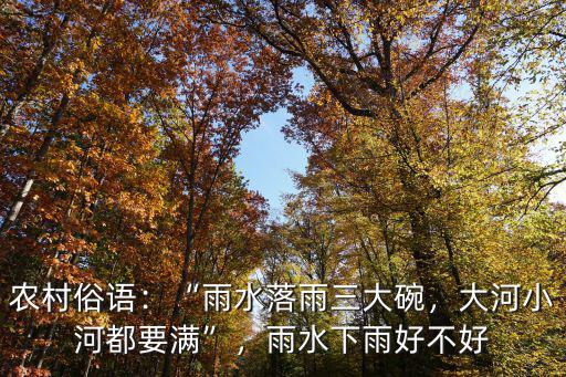 商丘農村下雨怎么管理,雨水下雨好不好