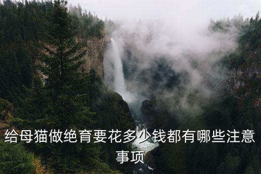 焦作母貓絕育多少錢,給母貓做絕育要花多少錢