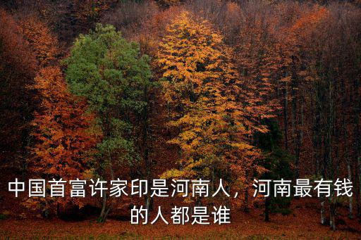 全國首富有多少人是河南縣的,河南首富是誰