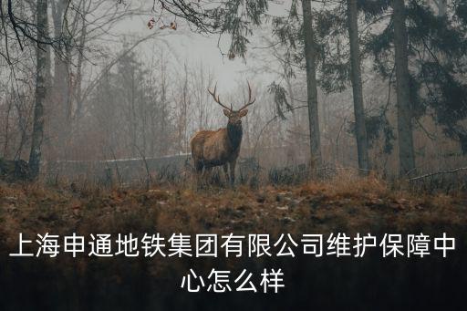 上海申通地鐵集團(tuán)有限公司維護(hù)保障中心怎么樣