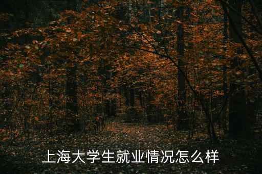 上海大學生就業(yè)情況怎么樣