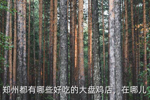 鄭州大盤雞生意怎么樣,鄭州都有哪些好吃的大盤雞店
