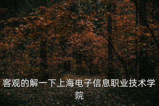 客觀的解一下上海電子信息職業(yè)技術學院