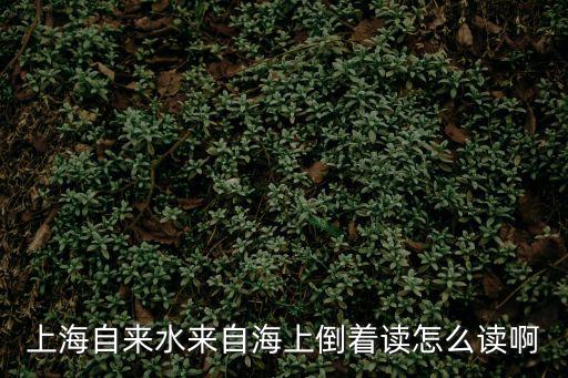 上海自來水來自海上倒著讀怎么讀啊