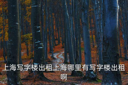 上海寫字樓出租上海哪里有寫字樓出租啊
