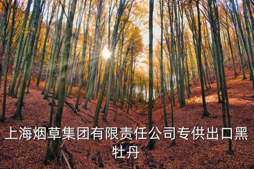 上海煙草集團有限責任公司專供出口黑牡丹