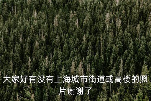 大家好有沒有上海城市街道或高樓的照片謝謝了