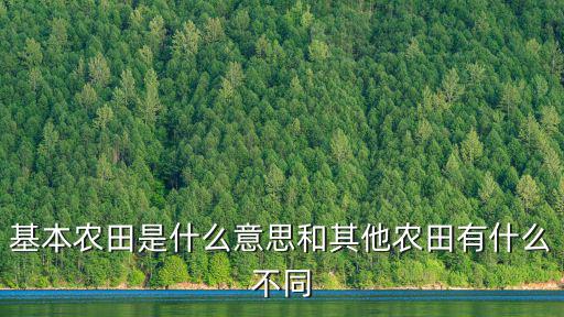開封基本農(nóng)田有多少畝,每個(gè)農(nóng)民基本農(nóng)田是多少畝