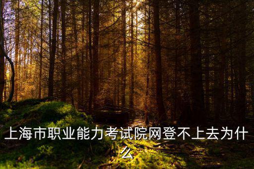 上海市職業能力考試院，上海市職業能力考試院網登不上去為什么