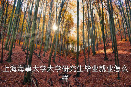 上海海事大學大學研究生畢業就業怎么樣