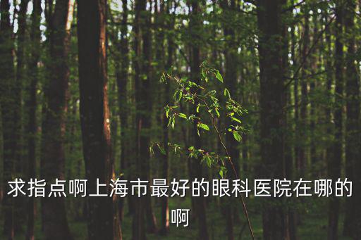 求指點啊上海市最好的眼科醫院在哪的啊
