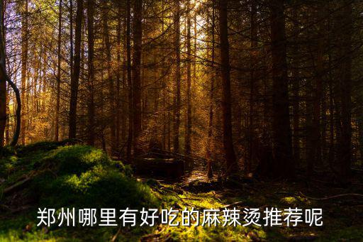 鄭州哪里的椒麻雞好吃,鄭州的茄汁面真好吃
