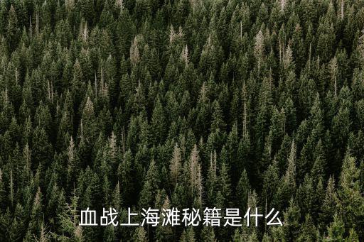 血戰上海灘秘籍是什么