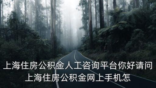 上海住房公積金人工咨詢平臺你好請問上海住房公積金網上手機怎