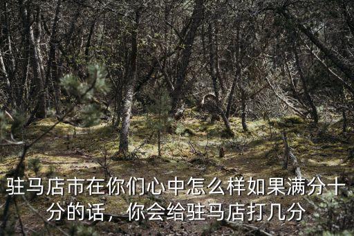 駐馬店市在你們心中怎么樣如果滿分十分的話，你會給駐馬店打幾分