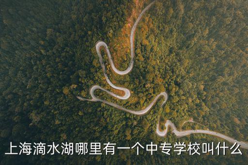 上海滴水湖哪里有一個中專學校叫什么