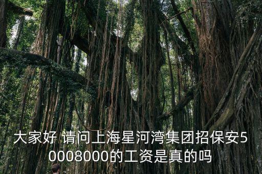 大家好 請問上海星河灣集團招保安50008000的工資是真的嗎