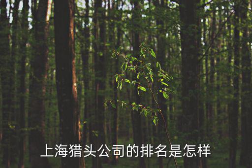 上海獵頭，上海專業(yè)的獵頭公司有哪些哪位說下