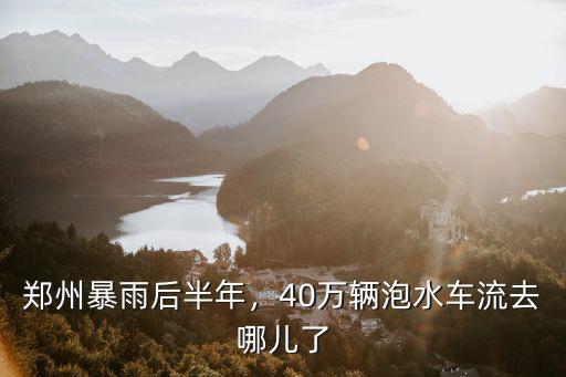 鄭州暴雨后半年，40萬輛泡水車流去哪兒了