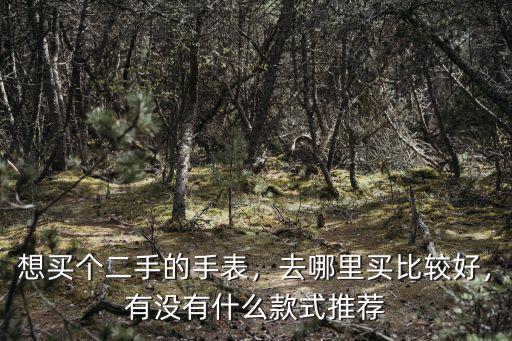 濮陽哪里有賣二手手表的,想買個二手的手表