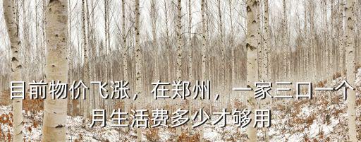 目前物價飛漲，在鄭州，一家三口一個月生活費多少才夠用