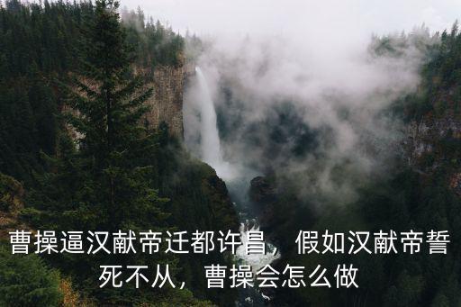 曹操逼漢獻帝遷都許昌，假如漢獻帝誓死不從，曹操會怎么做