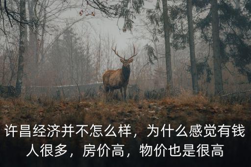 許昌經濟并不怎么樣，為什么感覺有錢人很多，房價高，物價也是很高