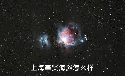 上海海灘，上海哪個海灘比較好玩
