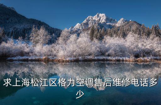 上海空調(diào)維修，上海格力空調(diào)維修站電話 誰知道