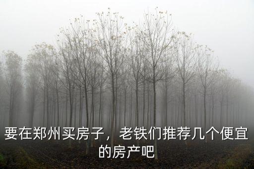 要在鄭州買房子，老鐵們推薦幾個便宜的房產吧