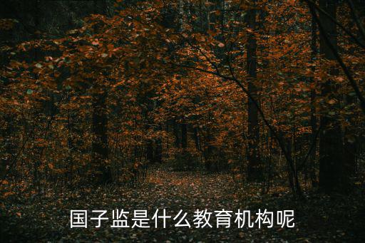 上海國子監(jiān)，國子監(jiān)是什么教育機構(gòu)呢