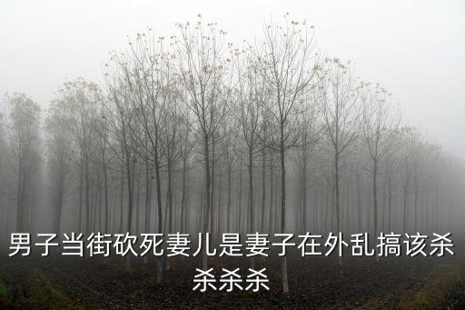 男子當街砍死妻兒是妻子在外亂搞該殺殺殺殺