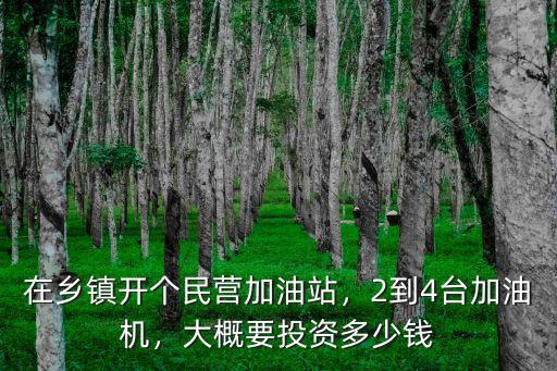 在鄭州開個加油站需要多少錢,在鄉鎮開個民營加油站