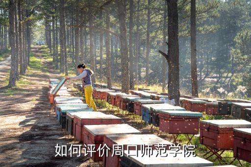 周口的學校怎么樣,周口師范學院怎么樣