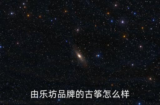 鄭州哪兒有善樂坊古箏怎么樣,由樂坊品牌的古箏怎么樣