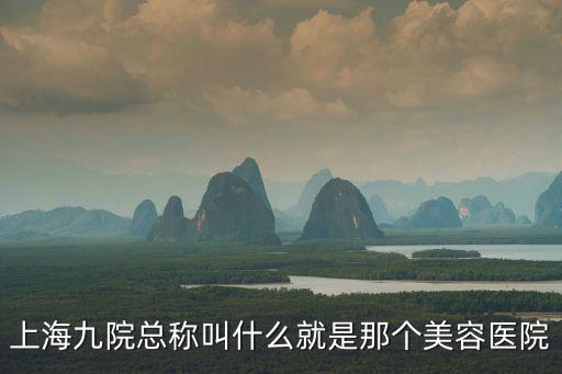 上海九院總稱叫什么就是那個美容醫院