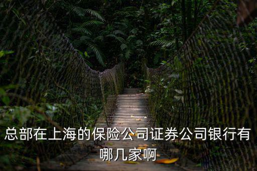 總部在上海的保險公司證券公司銀行有哪幾家啊