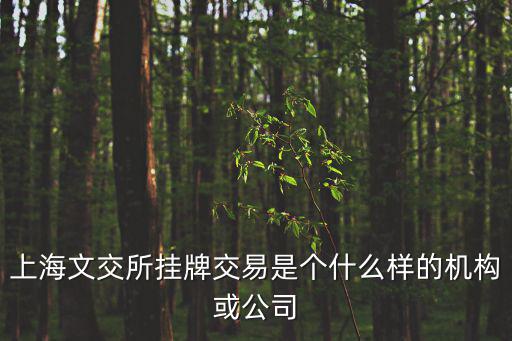上海文交所掛牌交易是個什么樣的機構或公司